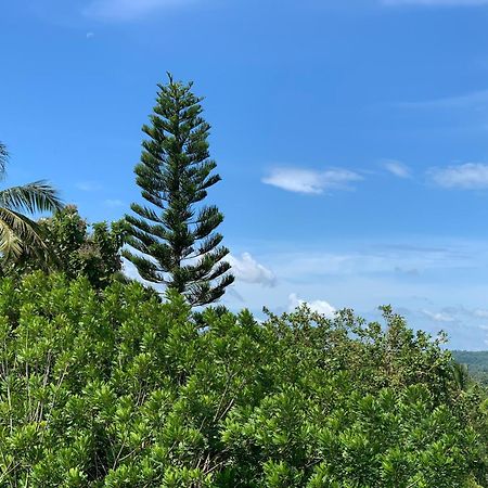 Thaproo Bay Hiriketiya Dickwella Exterior foto