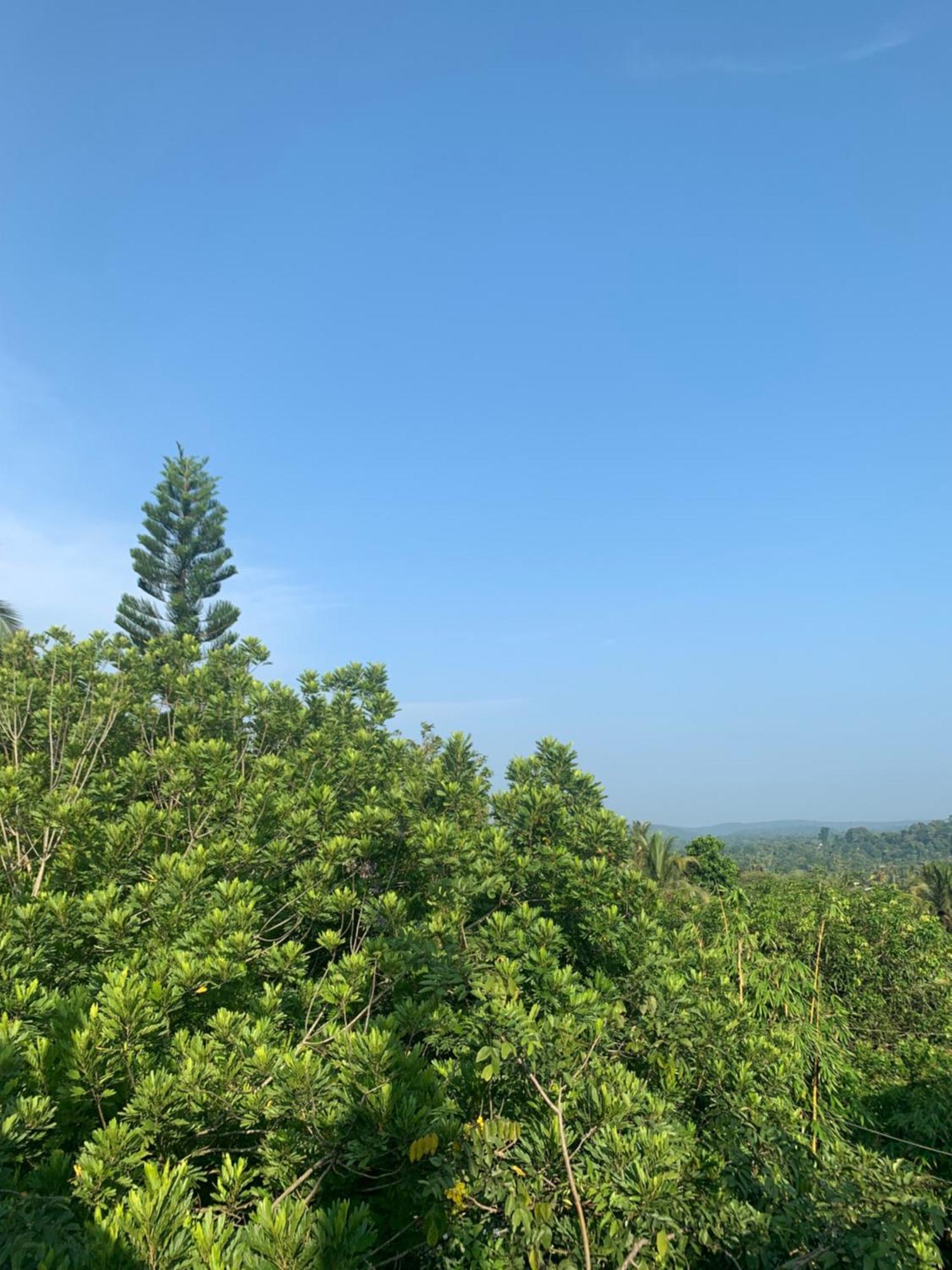 Thaproo Bay Hiriketiya Dickwella Exterior foto