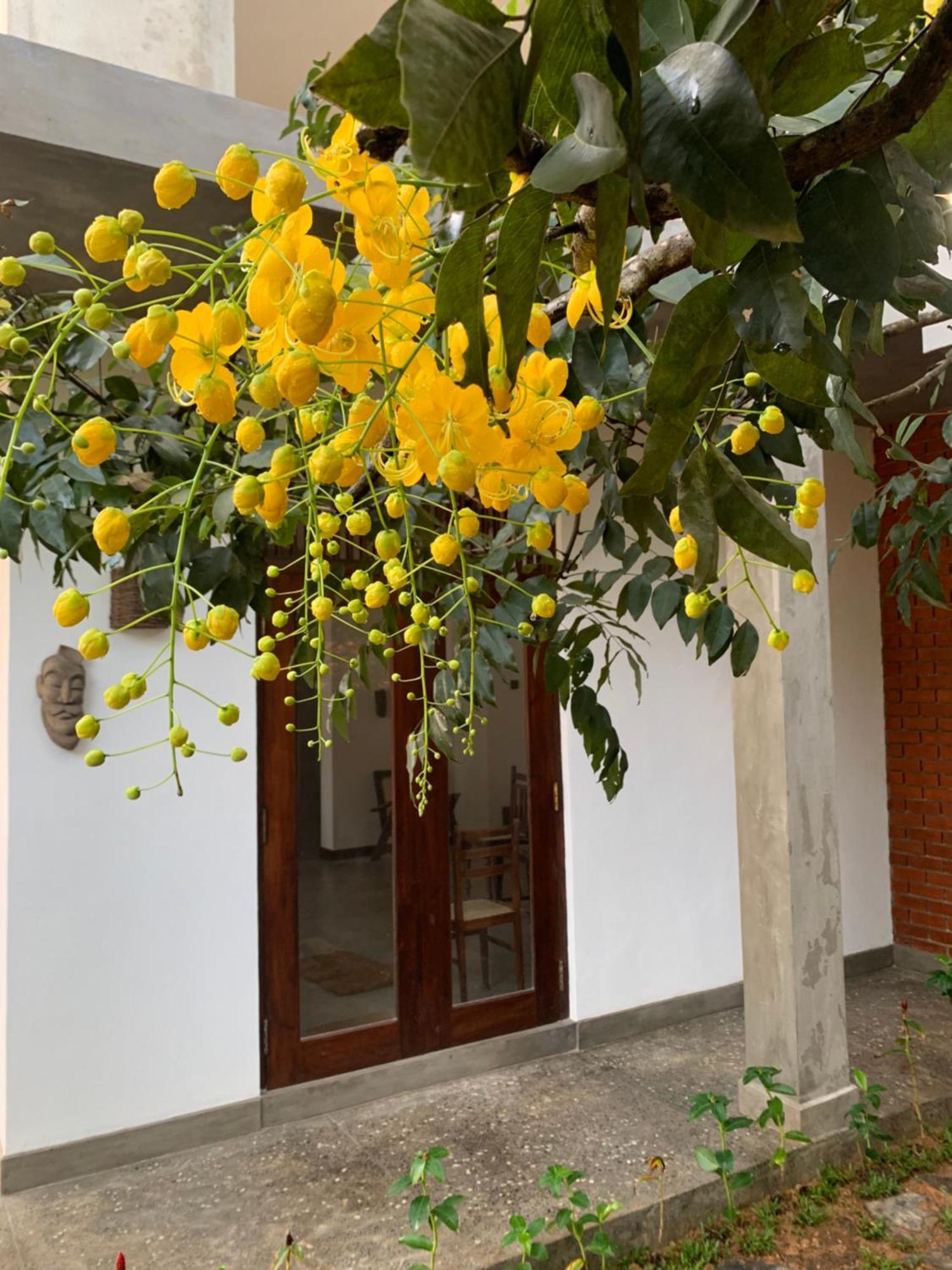 Thaproo Bay Hiriketiya Dickwella Exterior foto